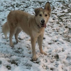 Meet your Posher, Dani